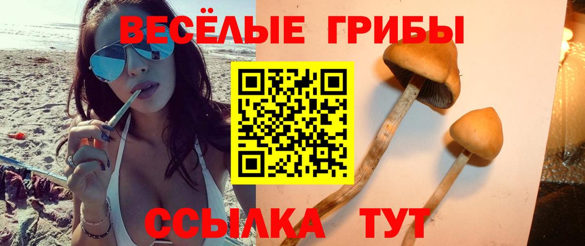 Мирный  Галлюциногенные грибы мицелий  Галлюциногенные грибы мицелий  Вход с VPN 